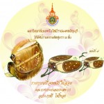 File29